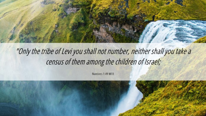 Picture 06 - Numbers 1:49 WEB Desktop Wallpaper - 