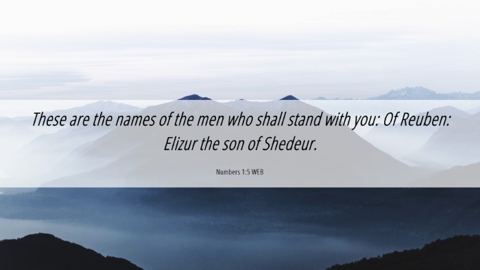 Picture 06 - Numbers 1:5 WEB Desktop Wallpaper - These are the names of the men who shall stand - Desktop Bible Verse Wallpaper