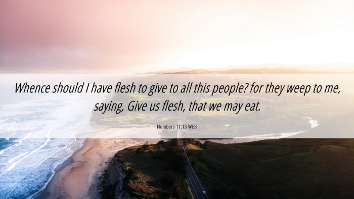 Picture 06 - Numbers 11:13 WEB Desktop Wallpaper - Whence should I have flesh to give to all this - Desktop Bible Verse Wallpaper