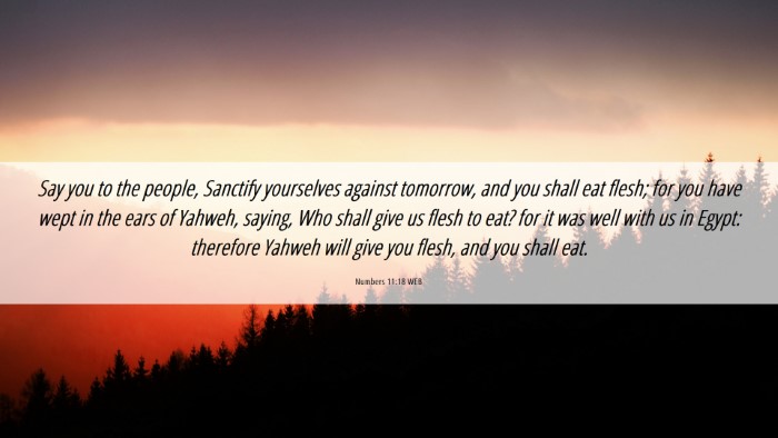Picture 06 - Numbers 11:18 WEB Desktop Wallpaper - Say you to the people, Sanctify yourselves - Desktop Bible Verse Wallpaper