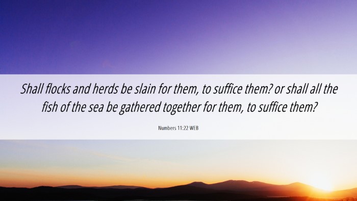 Picture 06 - Numbers 11:22 WEB Desktop Wallpaper - Shall flocks and herds be slain for them, to - Desktop Bible Verse Wallpaper