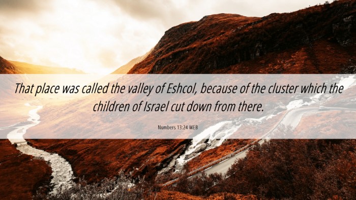 Picture 06 - Numbers 13:24 WEB Desktop Wallpaper - That place was called the valley of Eshcol, - Desktop Bible Verse Wallpaper