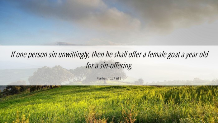 Picture 06 - Numbers 15:27 WEB Desktop Wallpaper - If one person sin unwittingly, then he shall - Desktop Bible Verse Wallpaper