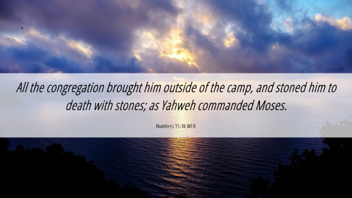 Picture 06 - Numbers 15:36 WEB Desktop Wallpaper - All the congregation brought him outside of the - Desktop Bible Verse Wallpaper
