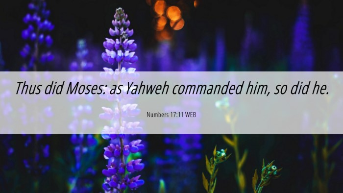 Picture 06 - Numbers 17:11 WEB Desktop Wallpaper - Thus did Moses: as Yahweh commanded him, so did - Desktop Bible Verse Wallpaper