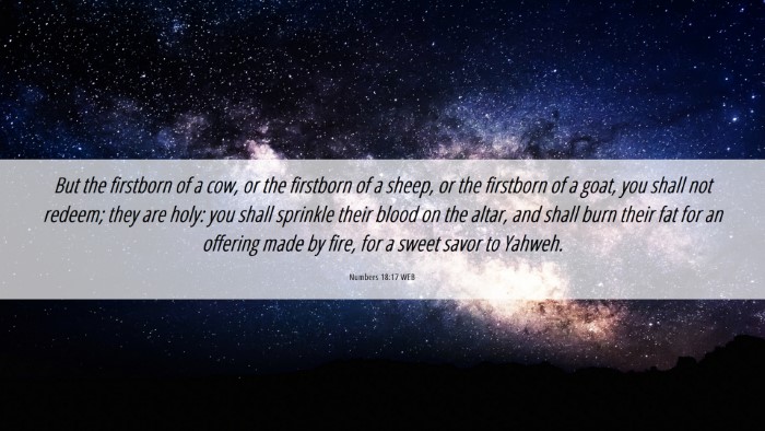 Picture 06 - Numbers 18:17 WEB Desktop Wallpaper - But the firstborn of a cow, or the firstborn of a - Desktop Bible Verse Wallpaper