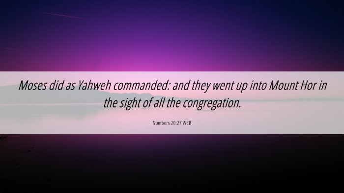 Picture 06 - Numbers 20:27 WEB Desktop Wallpaper - Moses did as Yahweh commanded: and they went up - Desktop Bible Verse Wallpaper