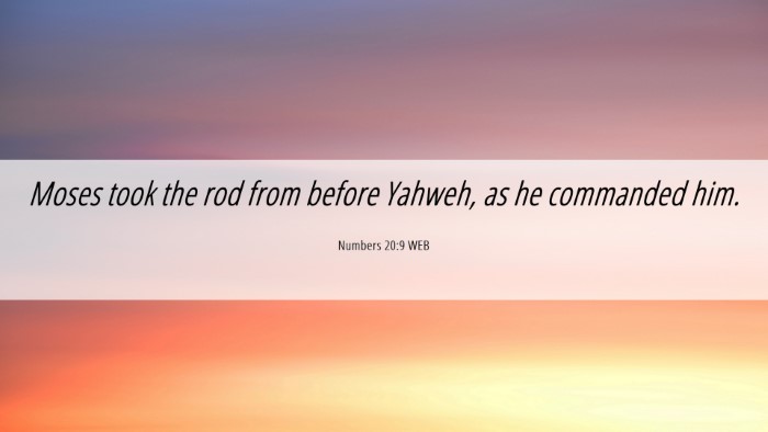 Picture 06 - Numbers 20:9 WEB Desktop Wallpaper - Moses took the rod from before Yahweh, as he - Desktop Bible Verse Wallpaper
