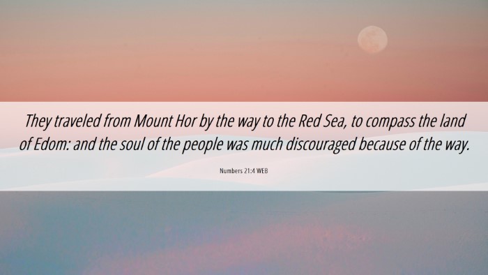 Picture 06 - Numbers 21:4 WEB Desktop Wallpaper - They traveled from Mount Hor by the way to the - Desktop Bible Verse Wallpaper