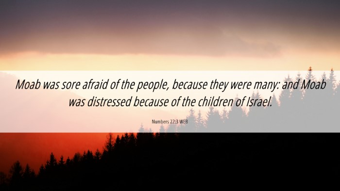 Picture 06 - Numbers 22:3 WEB Desktop Wallpaper - Moab was sore afraid of the people, because they - Desktop Bible Verse Wallpaper