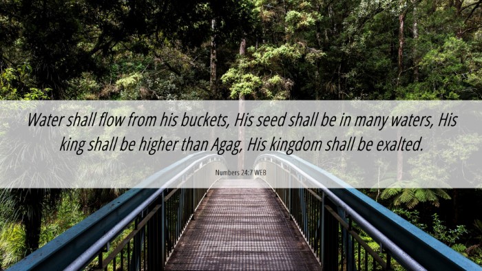 Picture 06 - Numbers 24:7 WEB Desktop Wallpaper - Water shall flow from his buckets, His seed shall - Desktop Bible Verse Wallpaper