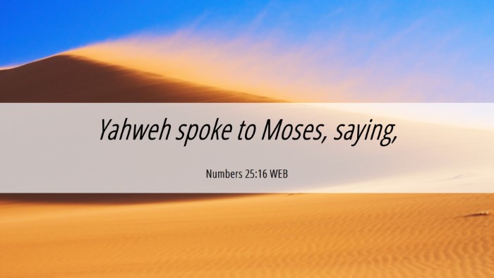 Picture 06 - Numbers 25:16 WEB Desktop Wallpaper - Yahweh spoke to Moses, - Desktop Bible Verse Wallpaper