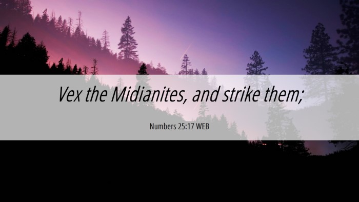 Picture 06 - Numbers 25:17 WEB Desktop Wallpaper - Vex the Midianites, and strike - Desktop Bible Verse Wallpaper