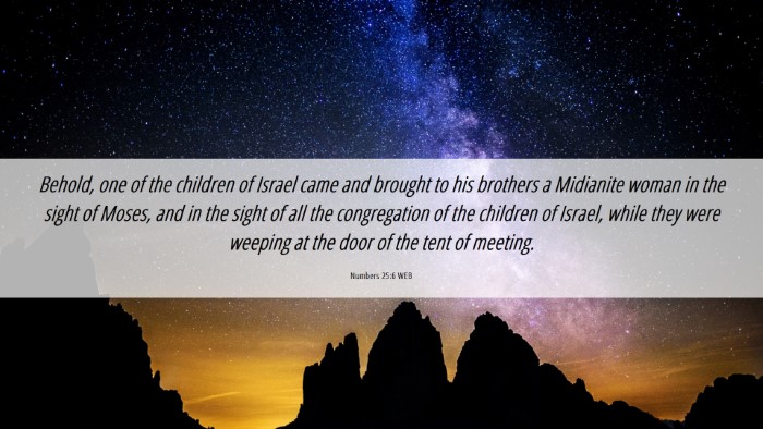 Picture 06 - Numbers 25:6 WEB Desktop Wallpaper - Behold, one of the children of Israel came and - Desktop Bible Verse Wallpaper