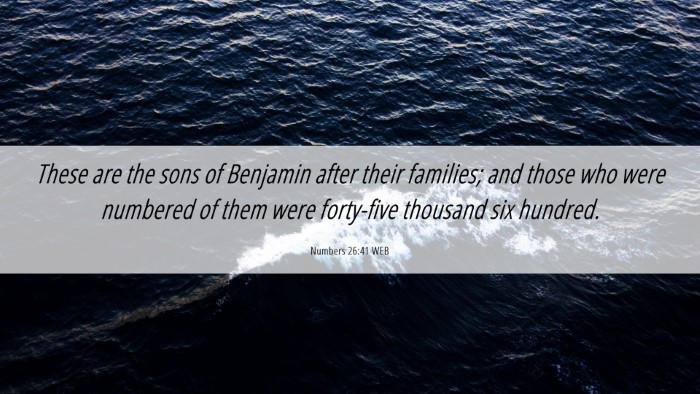 Picture 06 - Numbers 26:41 WEB Desktop Wallpaper - These are the sons of Benjamin after their - Desktop Bible Verse Wallpaper