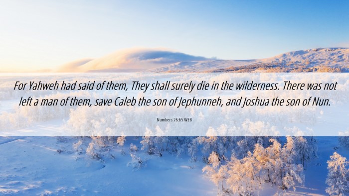Picture 06 - Numbers 26:65 WEB Desktop Wallpaper - For Yahweh had said of them, They shall surely - Desktop Bible Verse Wallpaper