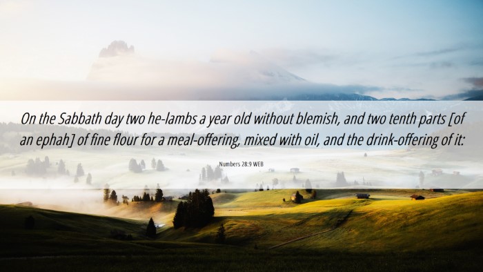 Picture 06 - Numbers 28:9 WEB Desktop Wallpaper - On the Sabbath day two he-lambs a year old - Desktop Bible Verse Wallpaper