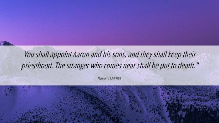 Picture 06 - Numbers 3:10 WEB Desktop Wallpaper - You shall appoint Aaron and his sons, and they - Desktop Bible Verse Wallpaper