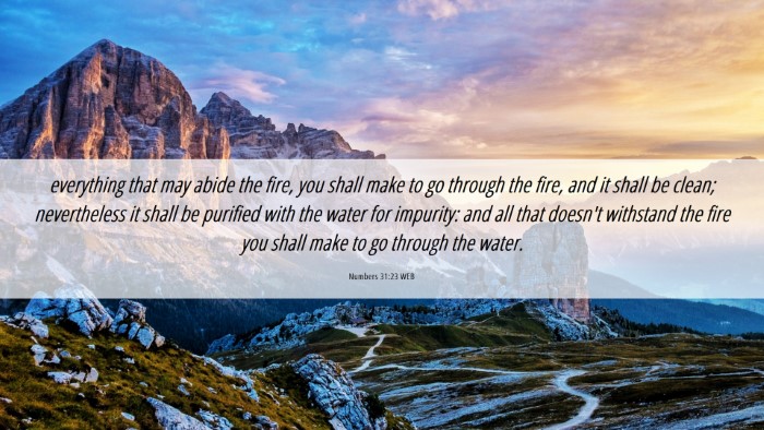 Picture 06 - Numbers 31:23 WEB Desktop Wallpaper - everything that may abide the fire, you shall - Desktop Bible Verse Wallpaper