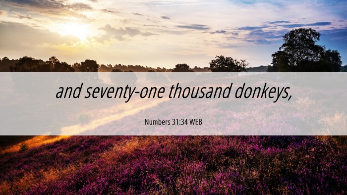 Picture 06 - Numbers 31:34 WEB Desktop Wallpaper - and seventy-one thousand - Desktop Bible Verse Wallpaper