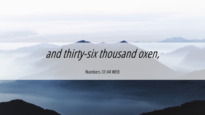 Picture 06 - Numbers 31:44 WEB Desktop Wallpaper - and thirty-six thousand - Desktop Bible Verse Wallpaper