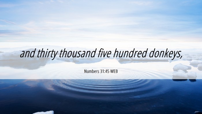 Picture 06 - Numbers 31:45 WEB Desktop Wallpaper - and thirty thousand five hundred - Desktop Bible Verse Wallpaper
