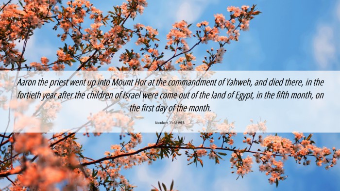 Picture 06 - Numbers 33:38 WEB Desktop Wallpaper - Aaron the priest went up into Mount Hor at the - Desktop Bible Verse Wallpaper