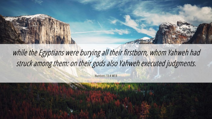 Picture 06 - Numbers 33:4 WEB Desktop Wallpaper - while the Egyptians were burying all their - Desktop Bible Verse Wallpaper