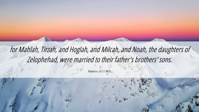 Picture 06 - Numbers 36:11 WEB Desktop Wallpaper - for Mahlah, Tirzah, and Hoglah, and Milcah, and - Desktop Bible Verse Wallpaper