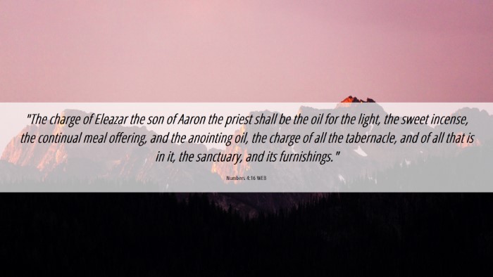 Picture 06 - Numbers 4:16 WEB Desktop Wallpaper - 