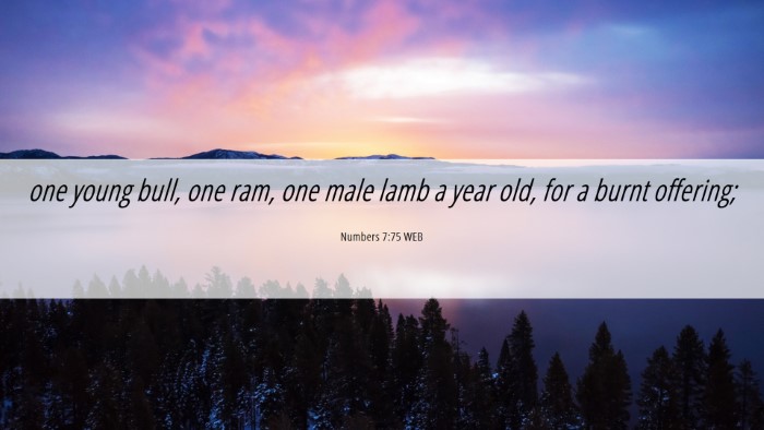 Picture 06 - Numbers 7:75 WEB Desktop Wallpaper - one young bull, one ram, one male lamb a year - Desktop Bible Verse Wallpaper