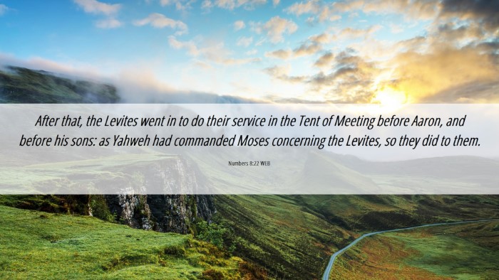 Picture 06 - Numbers 8:22 WEB Desktop Wallpaper - After that, the Levites went in to do their - Desktop Bible Verse Wallpaper