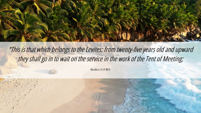 Picture 06 - Numbers 8:24 WEB Desktop Wallpaper - 