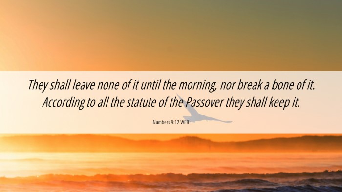 Picture 06 - Numbers 9:12 WEB Desktop Wallpaper - They shall leave none of it until the morning, - Desktop Bible Verse Wallpaper