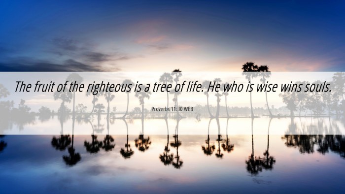 Picture 06 - Proverbs 11:30 WEB Desktop Wallpaper - The fruit of the righteous is a tree of life. He - Desktop Bible Verse Wallpaper
