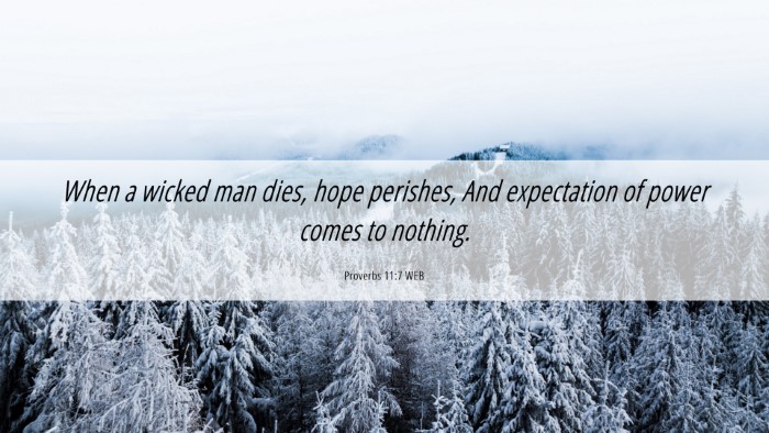 Picture 06 - Proverbs 11:7 WEB Desktop Wallpaper - When a wicked man dies, hope perishes, And - Desktop Bible Verse Wallpaper