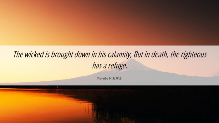 Picture 06 - Proverbs 14:32 WEB Desktop Wallpaper - The wicked is brought down in his calamity, But - Desktop Bible Verse Wallpaper