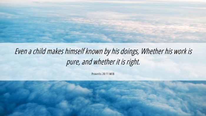 Picture 06 - Proverbs 20:11 WEB Desktop Wallpaper - Even a child makes himself known by his doings, - Desktop Bible Verse Wallpaper