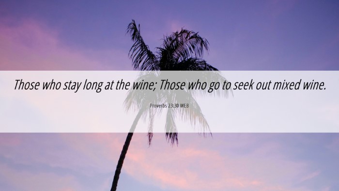 Picture 06 - Proverbs 23:30 WEB Desktop Wallpaper - Those who stay long at the wine; Those who go to - Desktop Bible Verse Wallpaper