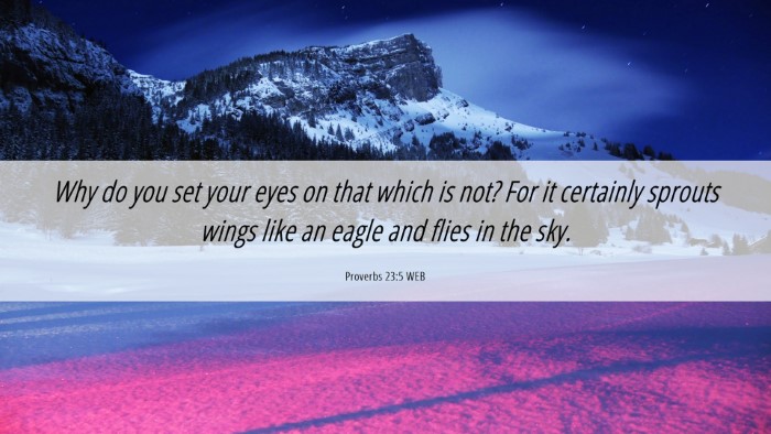 Picture 06 - Proverbs 23:5 WEB Desktop Wallpaper - Why do you set your eyes on that which is not? - Desktop Bible Verse Wallpaper