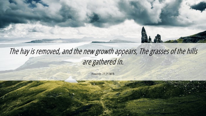Picture 06 - Proverbs 27:25 WEB Desktop Wallpaper - The hay is removed, and the new growth appears, - Desktop Bible Verse Wallpaper