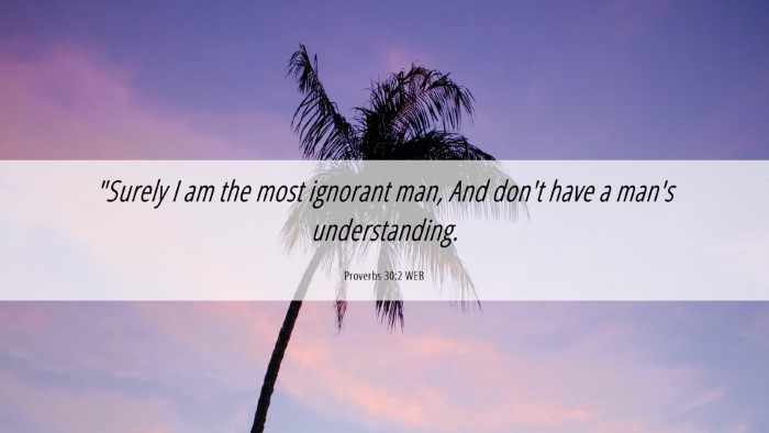 Picture 06 - Proverbs 30:2 WEB Desktop Wallpaper - 