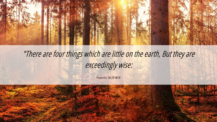 Picture 06 - Proverbs 30:24 WEB Desktop Wallpaper - 