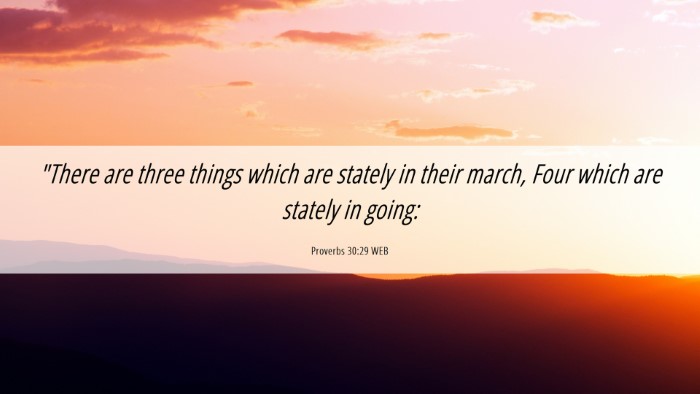 Picture 06 - Proverbs 30:29 WEB Desktop Wallpaper - 