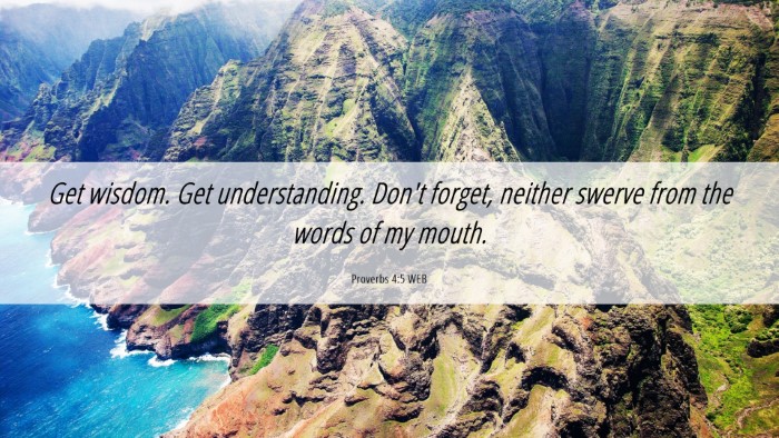 Picture 06 - Proverbs 4:5 WEB Desktop Wallpaper - Get wisdom. Get understanding. Don't forget, - Desktop Bible Verse Wallpaper