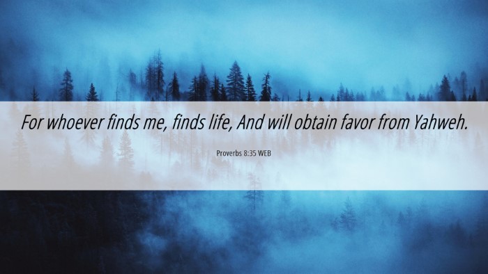 Picture 06 - Proverbs 8:35 WEB Desktop Wallpaper - For whoever finds me, finds life, And will obtain - Desktop Bible Verse Wallpaper