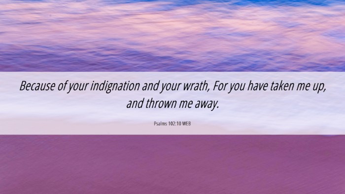 Picture 06 - Psalms 102:10 WEB Desktop Wallpaper - Because of your indignation and your wrath, For - Desktop Bible Verse Wallpaper