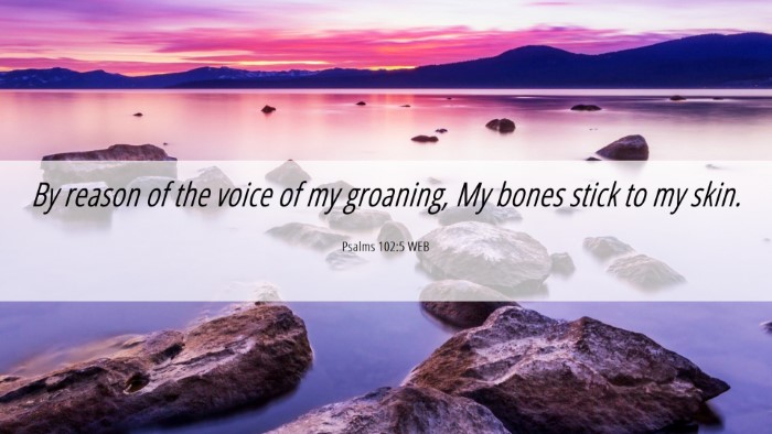 Picture 06 - Psalms 102:5 WEB Desktop Wallpaper - By reason of the voice of my groaning, My bones - Desktop Bible Verse Wallpaper