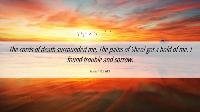 Picture 06 - Psalms 116:3 WEB Desktop Wallpaper - The cords of death surrounded me, The pains of - Desktop Bible Verse Wallpaper
