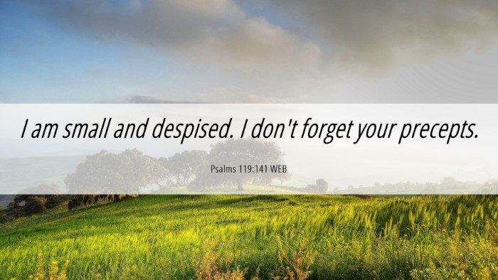 Picture 06 - Psalms 119:141 WEB Desktop Wallpaper - I am small and despised. I don't forget your - Desktop Bible Verse Wallpaper